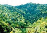 大中山自然保护区
