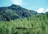南捧河省级自然保护区
