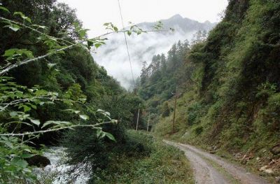 尼汝