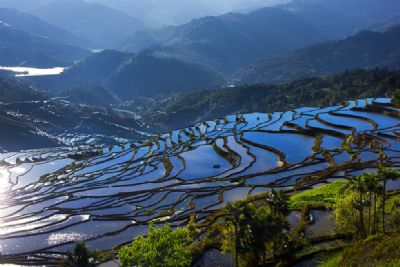 他撒梯田