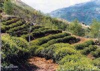 文山国家级自然保护区