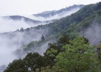 菌子山