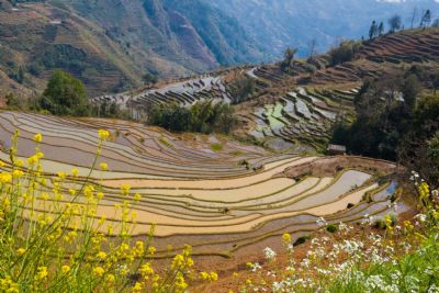 元阳牛角寨景区