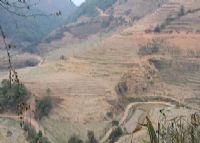 癸能村