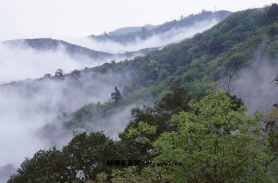 菌子山