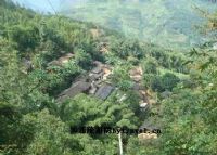 八布乡风景