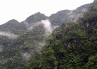 天星森林公园