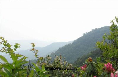 磨盘山国家森林公园