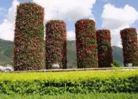 西隆山自然保护区