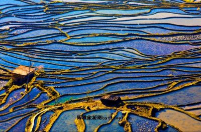 元阳哈尼梯田