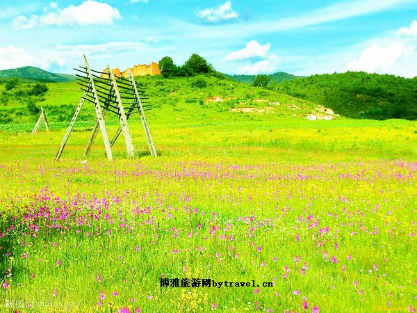 依拉草原
