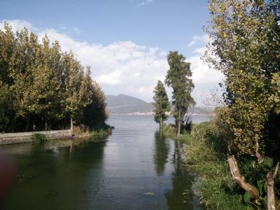 龙龛村