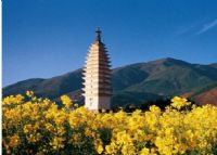 佛图寺塔
