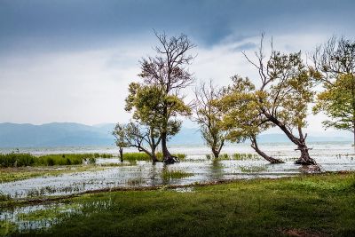海舌生态公园