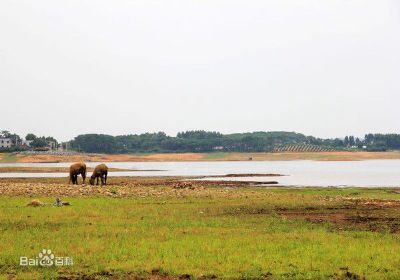 富川龟石国家湿地公园