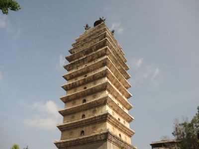 东寺塔和“孔雀胆”