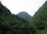 春夏秋冬细沙游