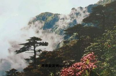 苍山西坡