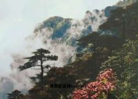苍山西坡