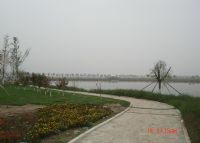 林泉农业科技生态园