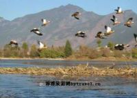 草海湿地