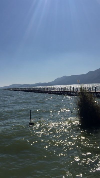 呈贡·滇池生态湿地公园（捞鱼河湿地公园）