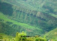 河上洞风景区
