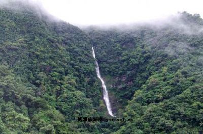 上岳金花茶自然保护区