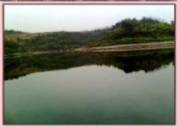习水东风湖国家湿地公园