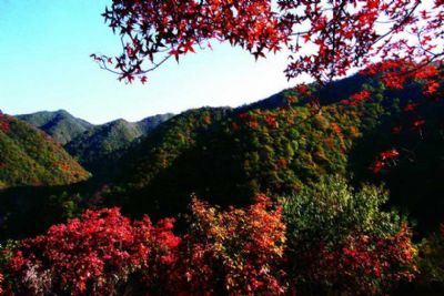 阳泉翠枫山景区