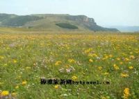 历山舜王坪景区