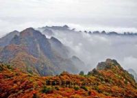 历山景区