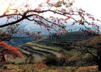 孤峰山风景区