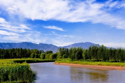 稷山汾河湿地公园