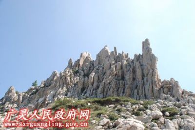 汉白玉石林