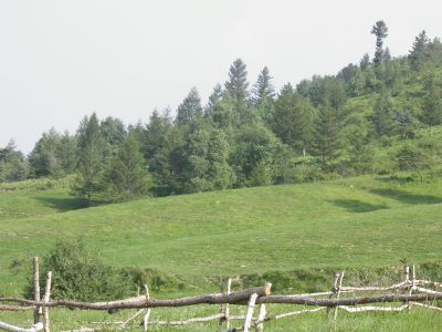 云顶山旅游区