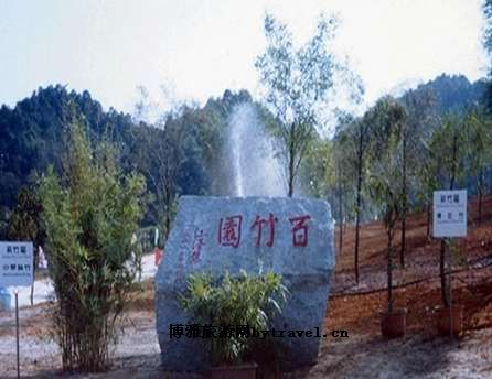 百竹园