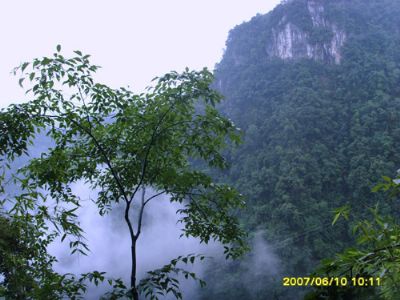 康龙自然保护区