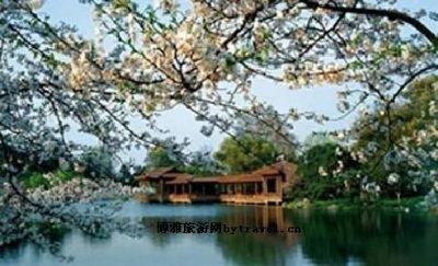 淀山湖梅园