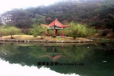 中坡森林公园