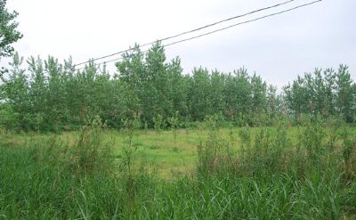 玉竹包遗址
