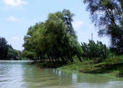 南洞庭湖湿地