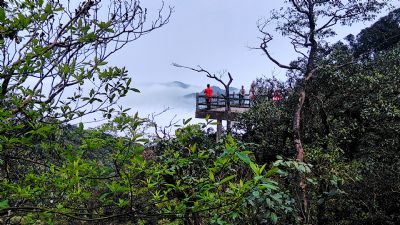 崖子石景区（天台山）