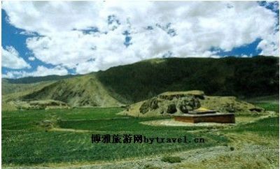 何家皂北宋墓
