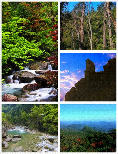 九龙江国家森林公园