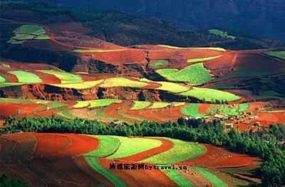 攸县梯田