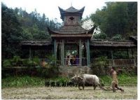 秦人村