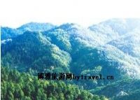 龙山森林公园