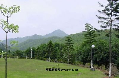 常德原始次生林