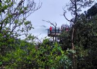 崖子石景区（天台山）